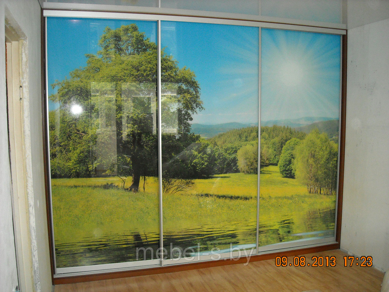 Шкаф-купе с фотопечатью