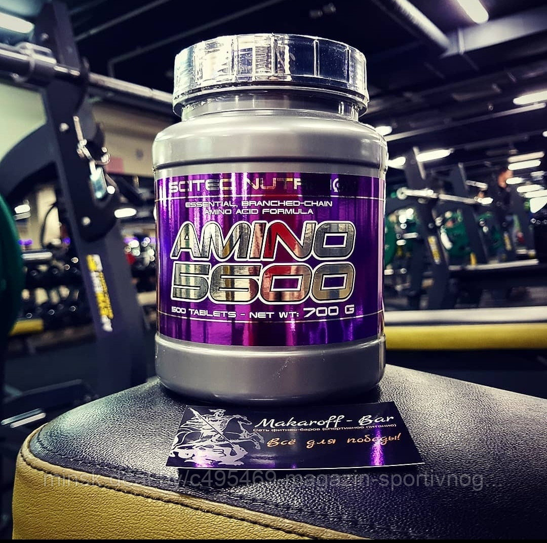 Scitec nutrition amino. Scitec Nutrition Amino 5600. Scitec Nutrition Amino 5600 500 таб. Амино 5600 Scitec Nutrition.