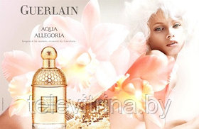 Женская туалетная вода GUERLAIN AQUA ALLEGORIA Cherie Blossom. 75 мл.