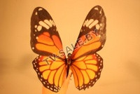 Светящиеся бабочки для садового участка (код. 9-3428) - фото 1 - id-p34646243
