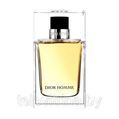 Мужская туалетная вода Christian DIOR HOMME. 100 мл. - фото 1 - id-p61502682