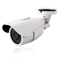 IP-камера наружного наблюдения AVN305AP (3.8) (код.0161)