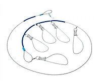 Кукан рыболовный 5-ти местный без поплавка