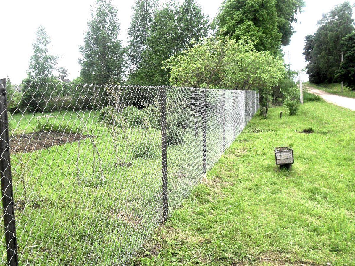 Забор из сетки рабица 1,2 метра - фото 3 - id-p7167785