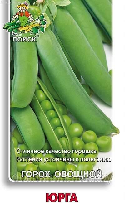 Гавриш Горох овощной Юрга - фото 1 - id-p132625215