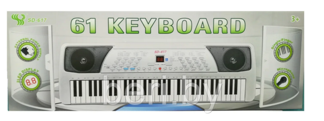 SD617 Синтезатор детский 61 клавиша, пианино, USB, с микрофоном, от сети и от батареек - фото 1 - id-p132684722