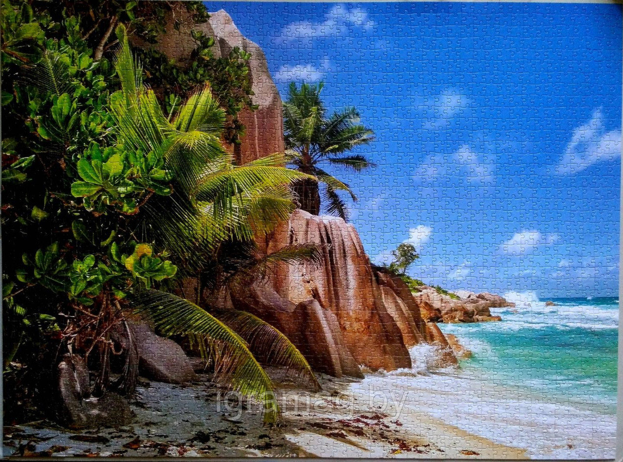 Пазл Лазурное побережье Сейшелы , 2000 элементов - фото 4 - id-p132715095
