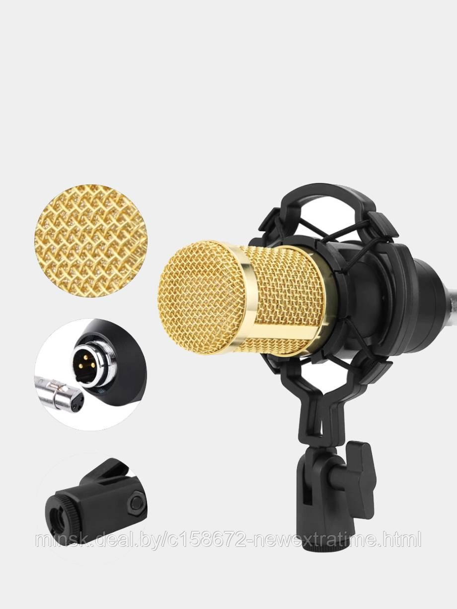 Студийный конденсаторный микрофон - BM 800, с держателем: продажа, цена в  Минске. Микрофоны от "NewExtraTime" - 132888840