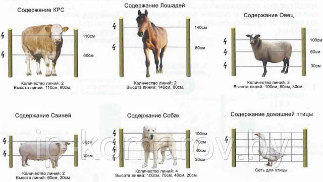 Электроизгородь, электропастух - фото 3 - id-p9506334