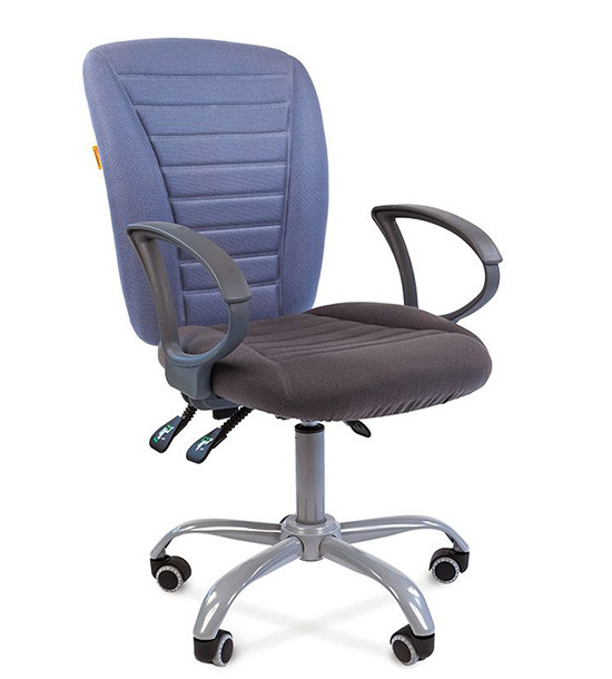 Кресло офисное Chairman    9801 Эрго, сид.10-128 серый/сп.10-141 голубой