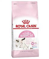 Royal Canin Mother&Babycat 2 кг, корм для котят 1-4 мес