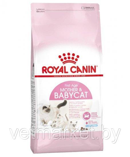 Royal Canin Mother&Babycat 2 кг, корм для котят 1-4 мес - фото 1 - id-p132963124