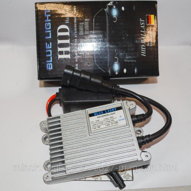 Блок розжига Blue light 24V