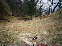 Фотоловушка BolyGuard BG590-24MHD, фото 5
