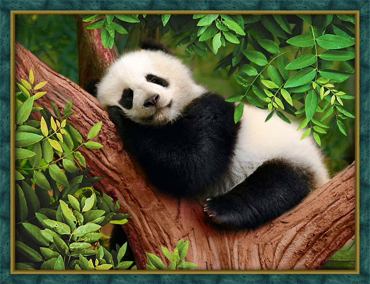 Картина стразами "Сонная панда"