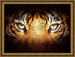 Картина стразами "Тигриный взгляд"