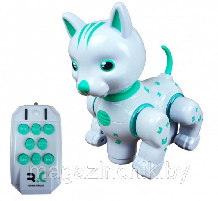 Радиоуправляемая кошка-робот 9873, поет, танцует - фото 2 - id-p133495319