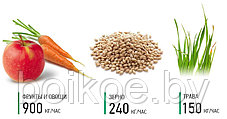 Измельчитель кормов Электромаш-ИКБ-003 (корнеплоды, трава, зерно), фото 2