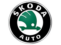 ТНВД Skoda