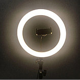 Кольцевая светодиодная лампа 27,5 см с пультом LED RING FILL LIGHT, фото 6