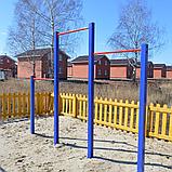 ТУРНИК УЛИЧНЫЙ, фото 3
