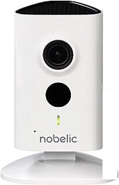 IP-камера Ivideon Nobelic NBQ-1110F - фото 1 - id-p133746651
