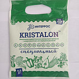 Удобрение Кристалон Специальный особый Яра Kristalon Yara 18-18-18, 0,5 кг, фото 2