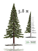 Новогоднее дерево "Сосна Экстра" 5м