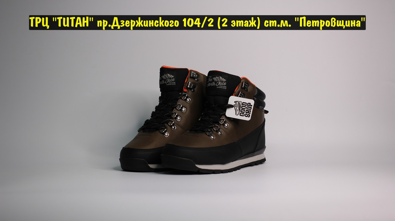 Кроссовки The North Face Brown