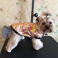 Куртка для собак на подкладке "Нейлон"
