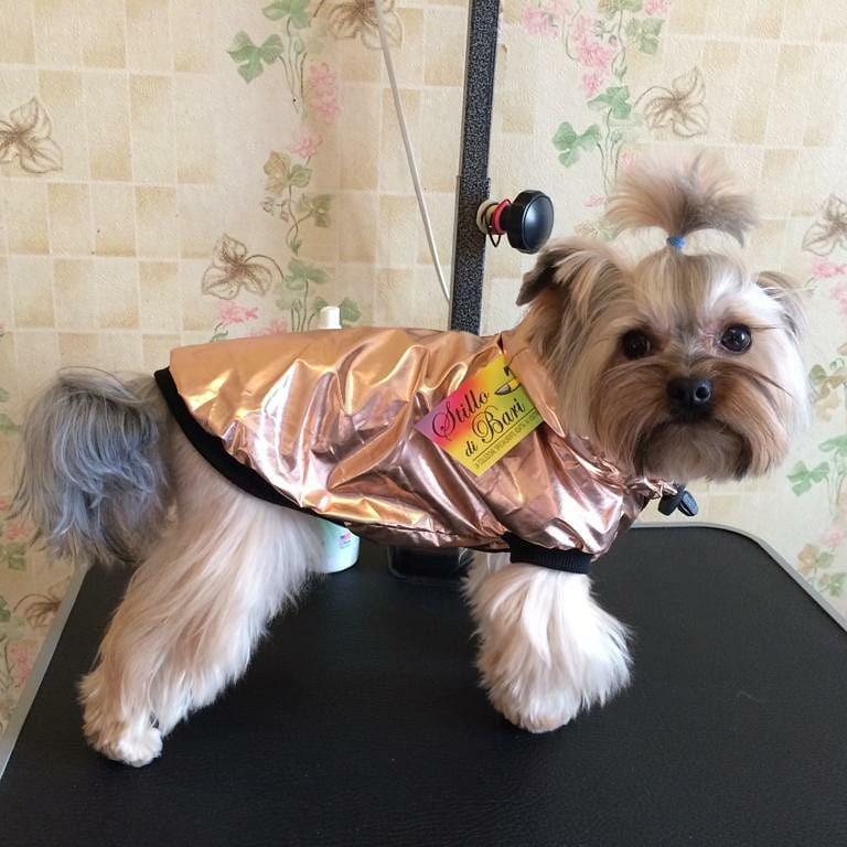Куртка для собак на подкладке "Нейлон" - фото 1 - id-p134005345