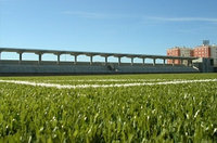 Искусственное травяное покрытие MS-PRO Высота ворса: 40 мм.