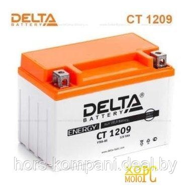 Аккумуляторная батарея Delta СТ 1209