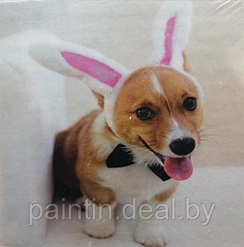 Алмазная мозаика "Собачка с ушками кролика" на подрамнике