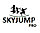 Батут SKYJUMP (скайджамп) basic 312 cм с защитной сеткой и лестницей, фото 9