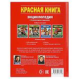 Красная книга. 100 фактов (энциклопедия А5) , "Умка", твёрдый переплёт., фото 5