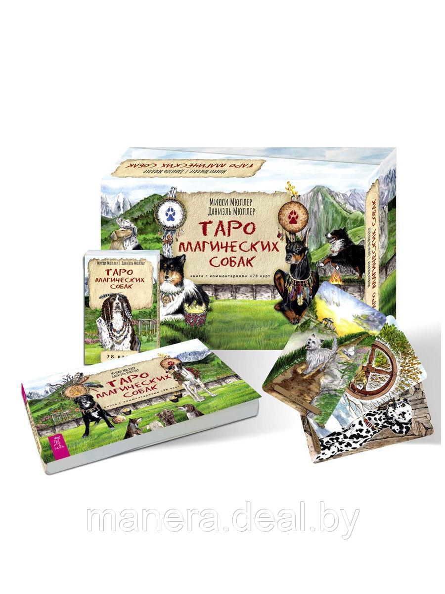 Таро магических собак (брошюра + 78 карт в подарочной упаковке) - фото 1 - id-p134216482