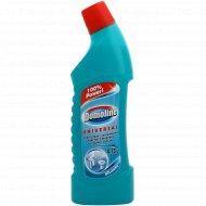 Средство чистящее санитарно-гигиеническое «Domoline» 750 мл, Универсал, РБ