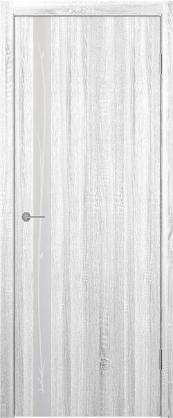 Двери межкомнатные экошпон STARK ST 12 зеркало матовое с рисунком - фото 7 - id-p120445576