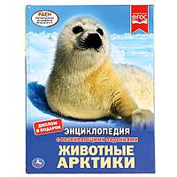 Животные Арктики (энциклопедия А4) , "Умка", твёрдый переплёт.
