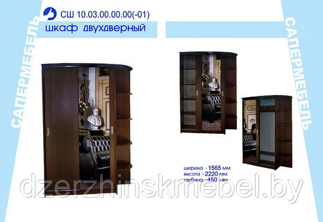 Шкаф-купе СШ-010.03(-02) с двумя зеркалами