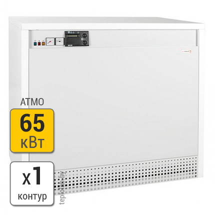 Газовый напольный котел Protherm Гризли 65 KLO, фото 2