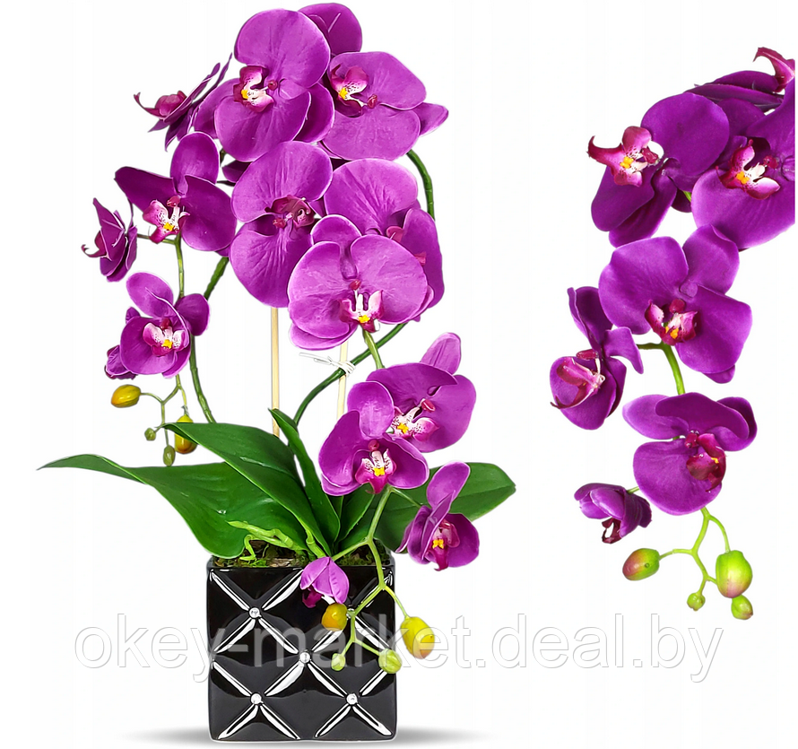 Цветочная композиция из орхидей в горшке F051c