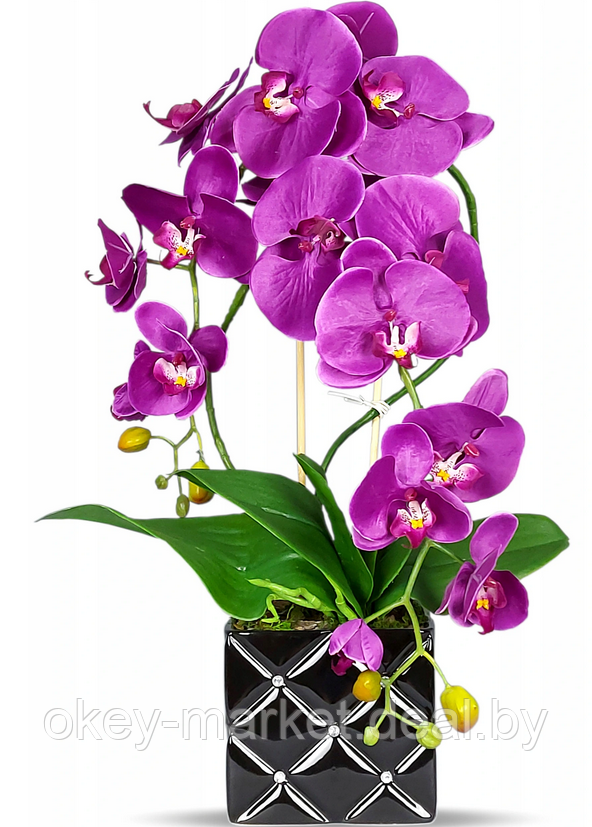 Цветочная композиция из орхидей в горшке F051c - фото 2 - id-p134738160