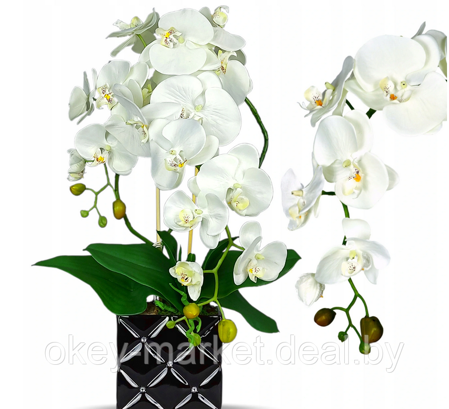 Цветочная композиция из орхидей в горшке B051c - фото 1 - id-p134738738