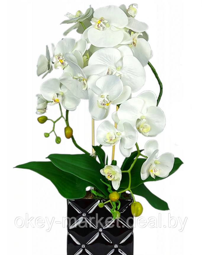 Цветочная композиция из орхидей в горшке B051c, фото 2