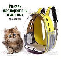Рюкзак для переноски животных прозрачный  (разные цвета)