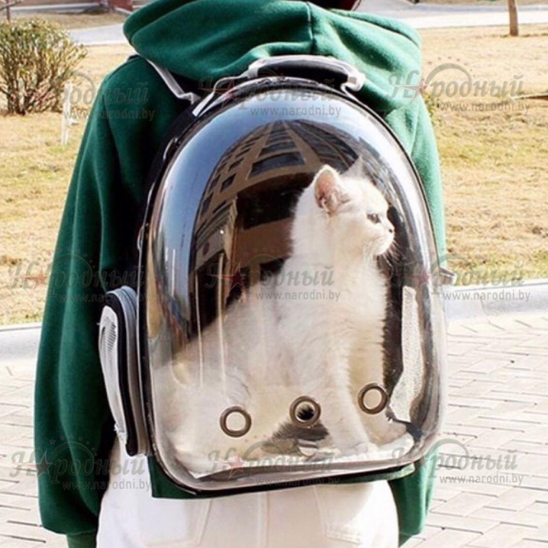 Рюкзак для переноски животных прозрачный - фото 9 - id-p102533173