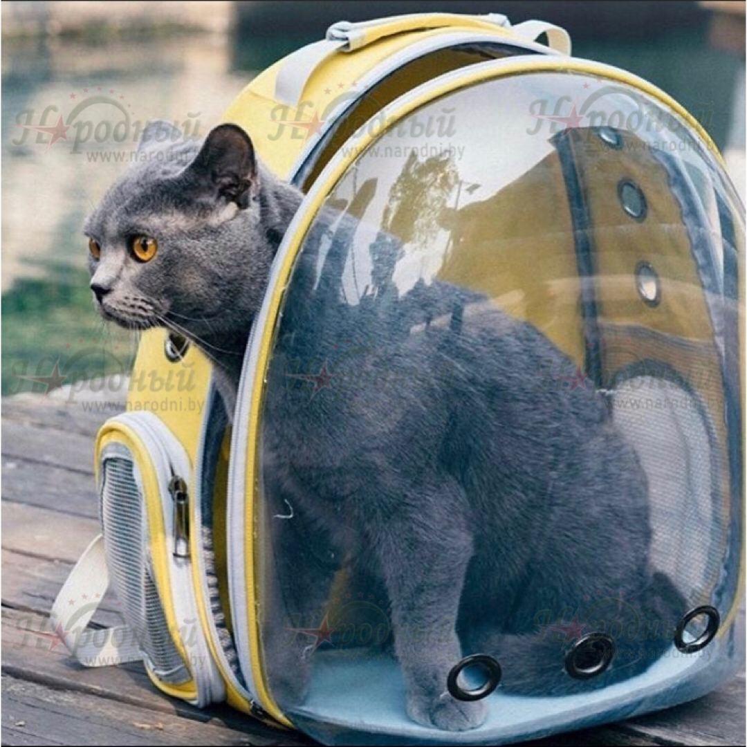 Рюкзак для переноски животных прозрачный - фото 10 - id-p102533173