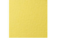 LANA Бумага для пастели 50х65 160г светло-желтый - фото 1 - id-p62668374